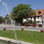 Logis Restaurant Au Lion Rouge Bartenheim