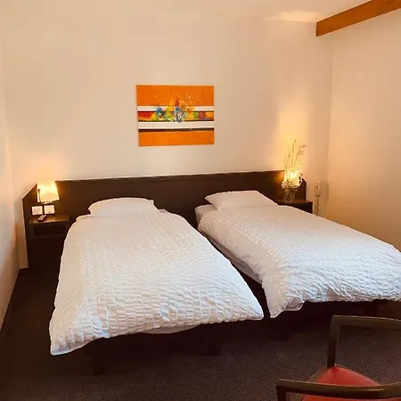 Hotel Logis Restaurant Au Lion Rouge Bartenheim