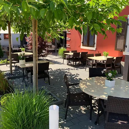 Logis Restaurant Au Lion Rouge 호텔 3*