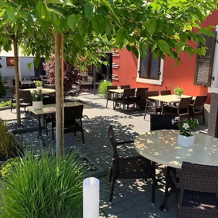 Logis Restaurant Au Lion Rouge Hotel 3*