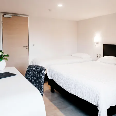 Hotel Logis Restaurant Au Lion Rouge Bartenheim