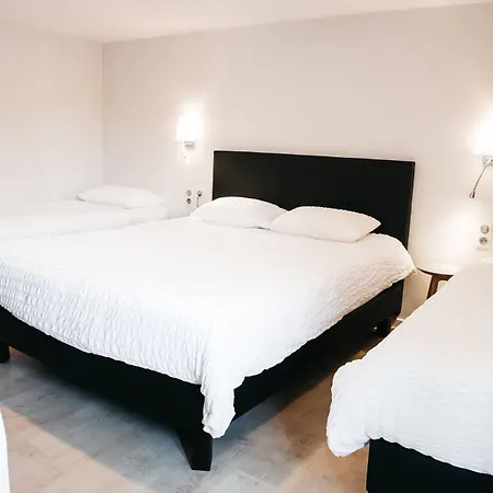 Logis Restaurant Au Lion Rouge Hotel 3*