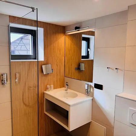 Logis Restaurant Au Lion Rouge Bartenheim