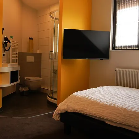 Logis Restaurant Au Lion Rouge Hotel Bartenheim