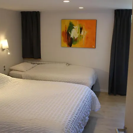 Logis Restaurant Au Lion Rouge Hotel 3*