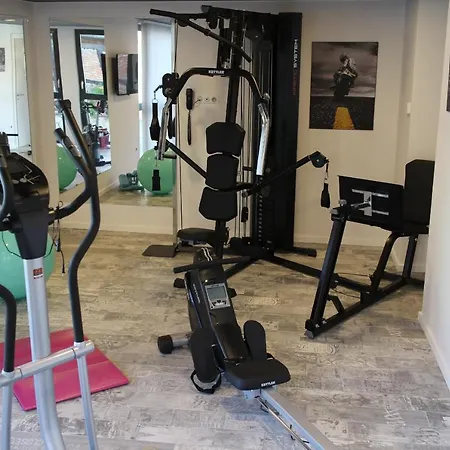 Logis Restaurant Au Lion Rouge Hotel Bartenheim