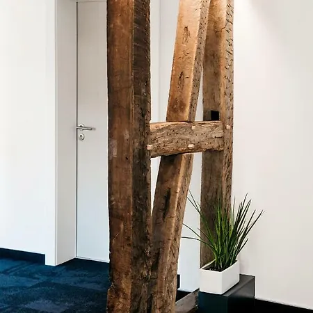 Logis Restaurant Au Lion Rouge Hotel 3*