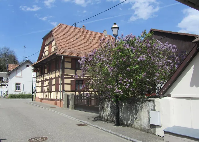 Hotel Logis Restaurant Au Lion Rouge Bartenheim