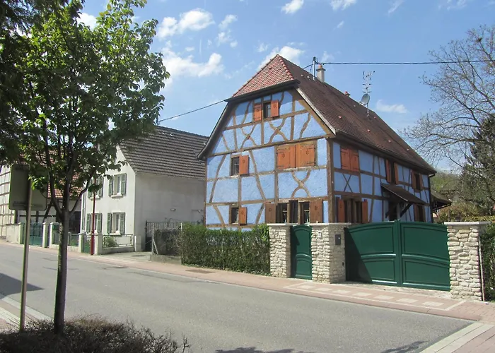 Logis Restaurant Au Lion Rouge Bartenheim