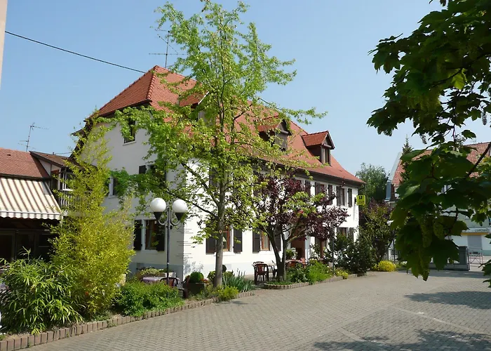 Logis Restaurant Au Lion Rouge Hotel Bartenheim