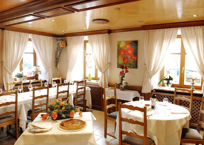 Hotel Logis Restaurant Au Lion Rouge 3*