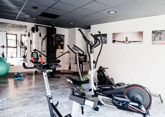 Hotel Logis Restaurant Au Lion Rouge Bartenheim