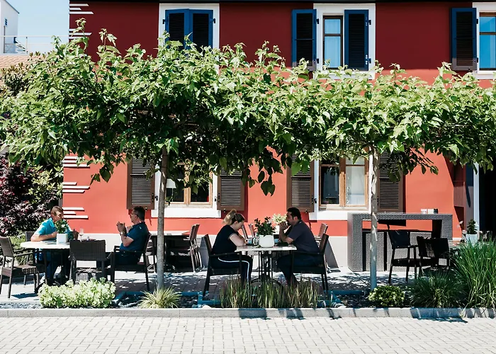 Logis Restaurant Au Lion Rouge Hotel