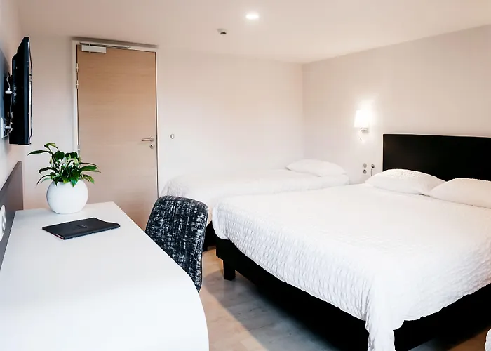 Hotel Logis Restaurant Au Lion Rouge Bartenheim