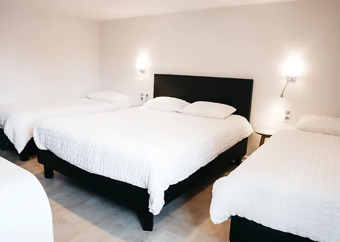 Logis Restaurant Au Lion Rouge Hotel 3*