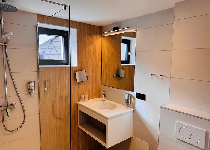 Logis Restaurant Au Lion Rouge Bartenheim