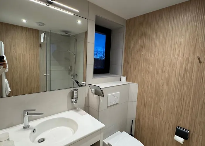 Hotel Logis Restaurant Au Lion Rouge Bartenheim